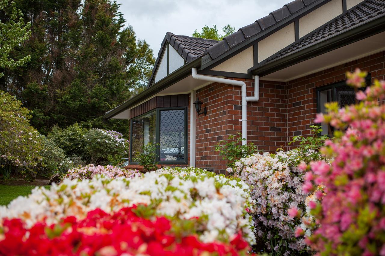 Clover Downs Homestead Rotorua Extérieur photo